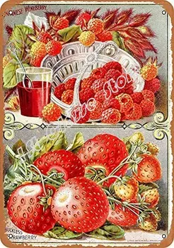 1902 Японската плодове, грозде и ягоди Ретро метална табела декор 12 